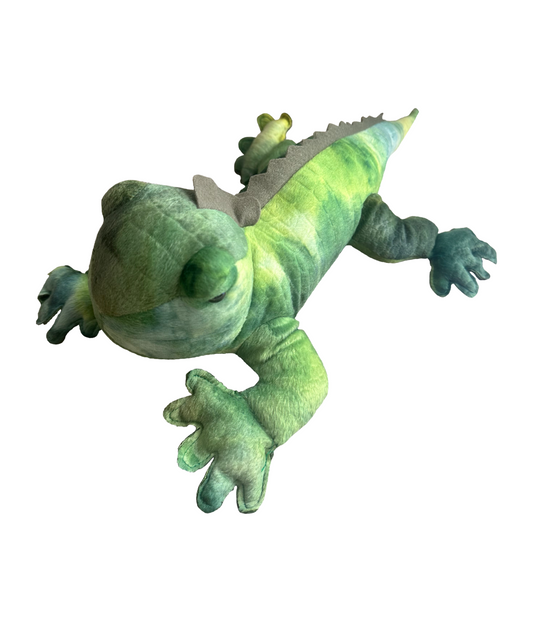 IGUANA VERDE