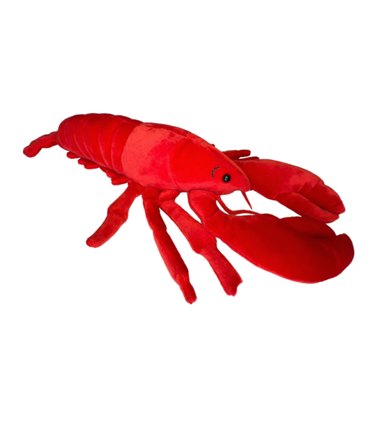 LANGOSTA ROJA
